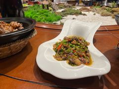 -红果树(江光店)