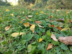 -北京动物园-畅观楼