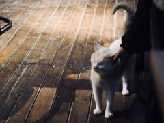 -PCA专业咖啡技能训练营(西南重庆总部)
