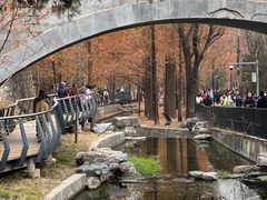 -白水寺森林公园
