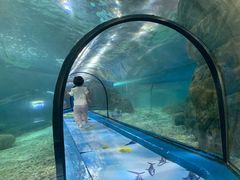 -福州罗源湾海洋世界旅游区