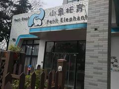 -小象托育