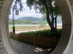 -顺峰山公园