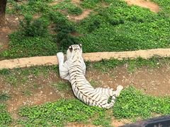 -云南野生动物园