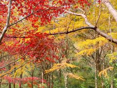 -青岛崂山太清宫