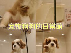 -瑞虹新天地月亮湾
