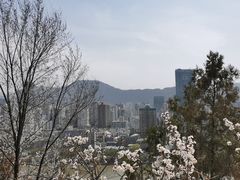 -白塔山公园