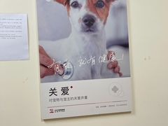-艾贝尔宠物医院·狂犬免疫点(江山金象城店)