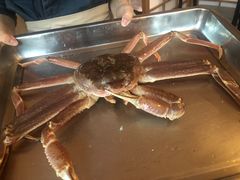 -綱元·海鲜豆捞(明州里店)