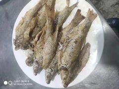 -庆岭迎宾园正宗活鱼馆