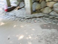 -野宫神社