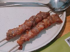 -通海俄式烧烤(下瓦房店)