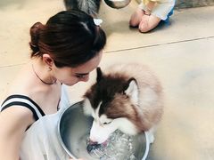 -TrueLove @ Neverland (Husky Cafe)