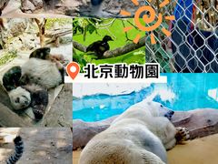-北京动物园