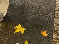 -杭州湖滨in77