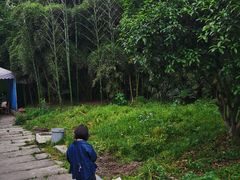-小河无名面馆