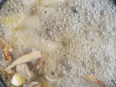 -蘑统田下·野生菌火锅