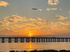 -宝安西湾红树林湿地公园