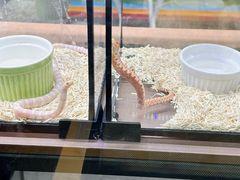 -骑鹅公社(南开大悦城店)