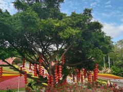 -盆满钵满·国家非遗传承(云台店)