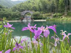 -龙坞茶村