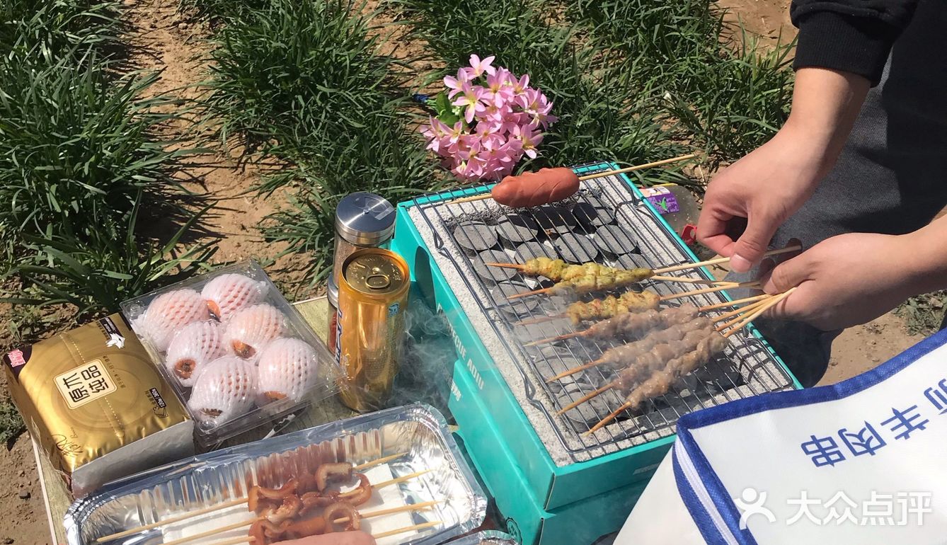 北京烤串必吃榜，来自呼伦贝尔大草原的羊肉串