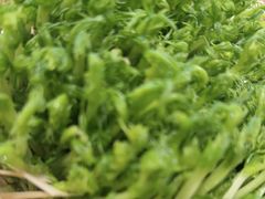 -岗上渣渣老火锅(两路口店)