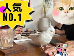 -点绛唇(鼓楼店)