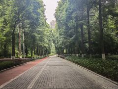 -龙头寺公园