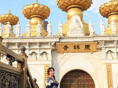 -上海东林寺(金山区)