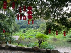 -广州市石门国家森林公园