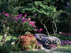 -庐山风景区花径公园