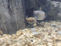 -福州罗源湾海洋世界旅游区