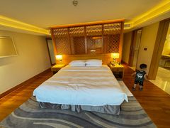 -广州白天鹅宾馆