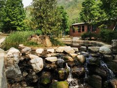 -白水寺森林公园