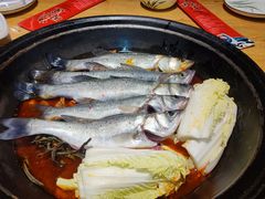 -鸽子刘铁锅炖鱼(劲松店)