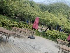 -荷风细雨·中国茶宴(碧云店)