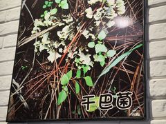 -菌乡缘·野生菌蒸汽鱼火锅(江边夜市店)
