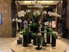 -浙江安吉JW万豪酒店·万豪中餐厅