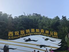 -西双版纳原始森林公园