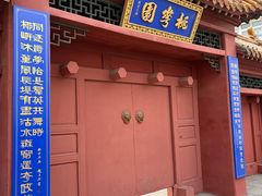 -桃花堤公园