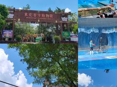 -东莞香市动物园