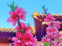 -茅山东方盐湖城景区