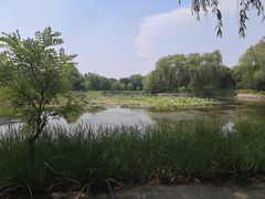 -望湖公园