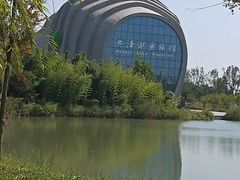 -泗洪洪泽湖湿地景区