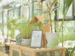 -北马山庄植趣咖啡