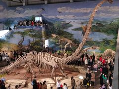 -自贡恐龙博物馆