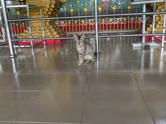 -ခြောက်ထပ်ကြီးရွှေသာလျောင်းဘုရားကြီး