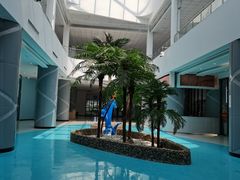 -临港服务区·停车场