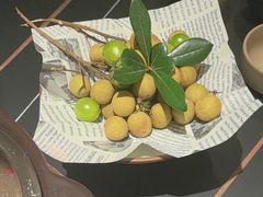 -季季山•云南野生菌火锅(上海首店)